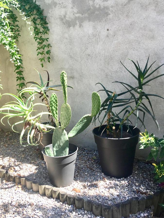 Dans Une Maison, Appartement Independant Et Jardin Perpinhã Exterior foto